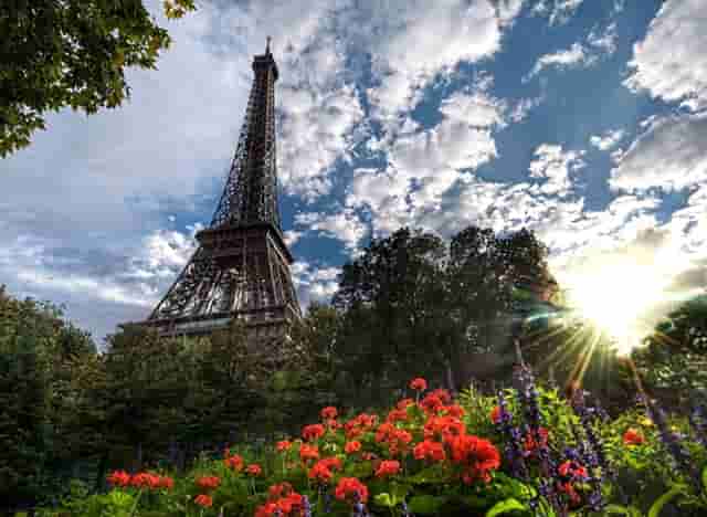 袖虎加盟：加盟诈骗是怎样的脑回路？