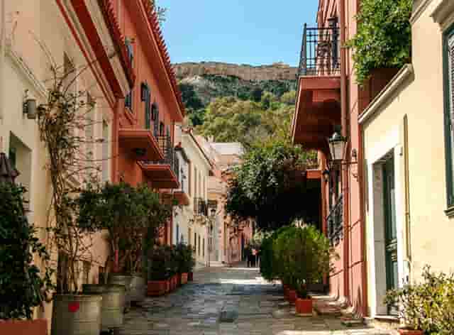 红薯种什么最好(红薯地用什么除草剂最好)