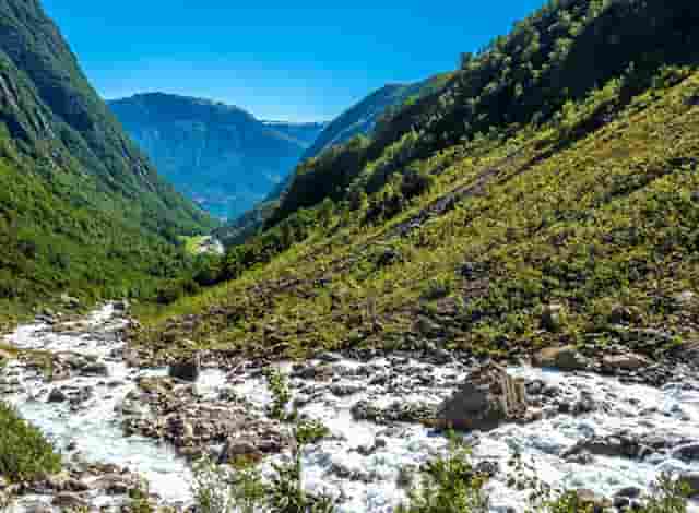 袖虎加盟店：养宠骗局分析1