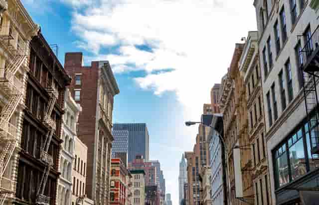 袖虎病猫攻略：猫猫上火那些事