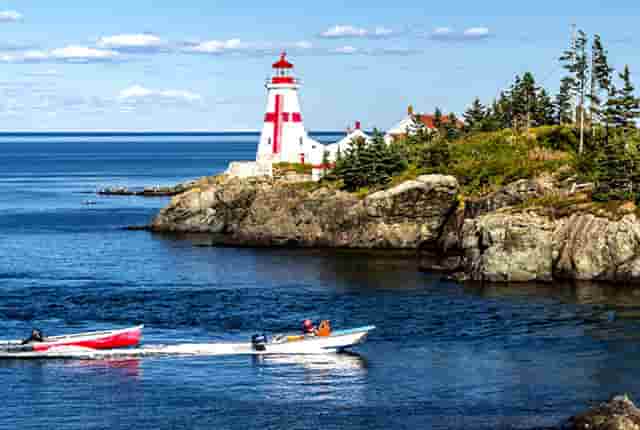 可能出现了偏差(调查可能的偏差来源)