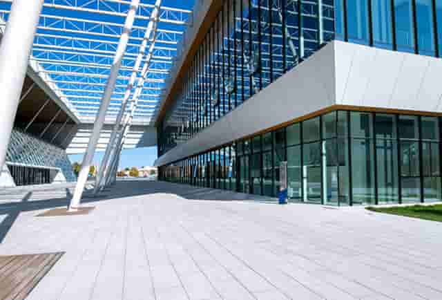 袖虎病猫攻略：加菲猫出现黑下巴是什么原因