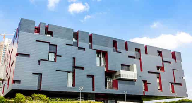 袖虎的猫狗为什么会那么贵