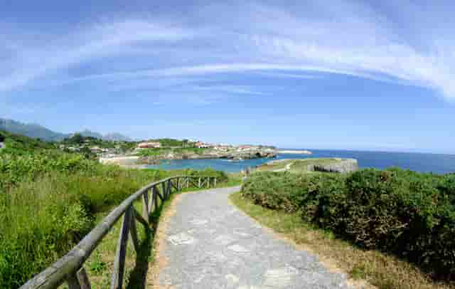 农村振兴局工作(农业农村振兴局)