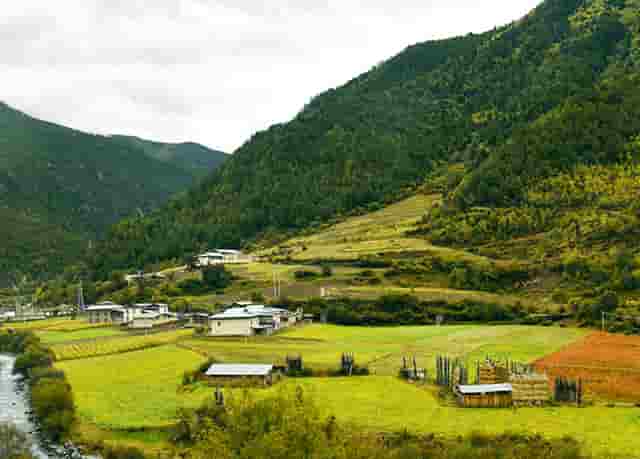 福永区公办初中学区划分(南京公办初中学区房推荐)