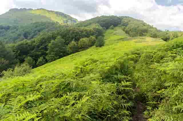 男人陪老婆做运动的表现