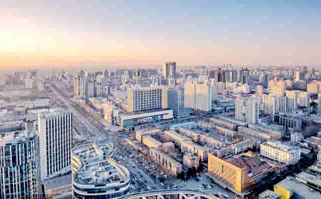 袖虎病狗攻略：狗狗体臭怎么办